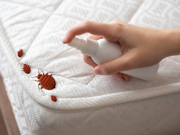 Best Residential Pest Control  in Carmel, IN