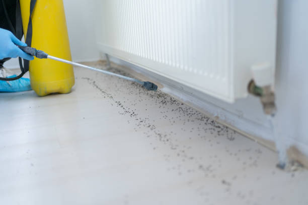 Reliable Carmel, IN Pest Control Solutions