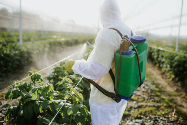 Best Pest Control for Restaurants  in Carmel, IN